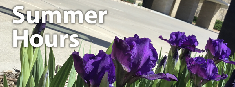 Purple iris outside the Union