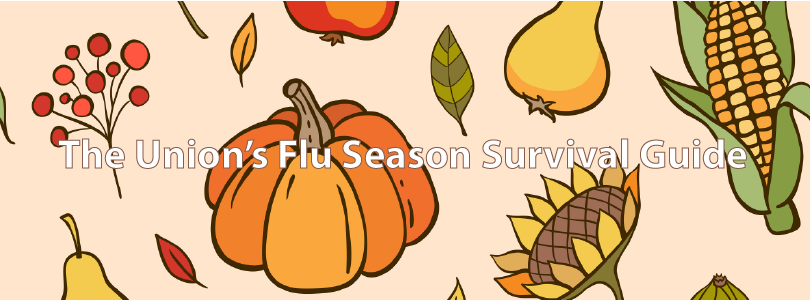 Flu Season Graphic